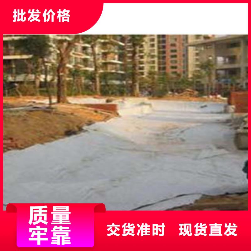 防水毯蓄排水板廠家貨源充足