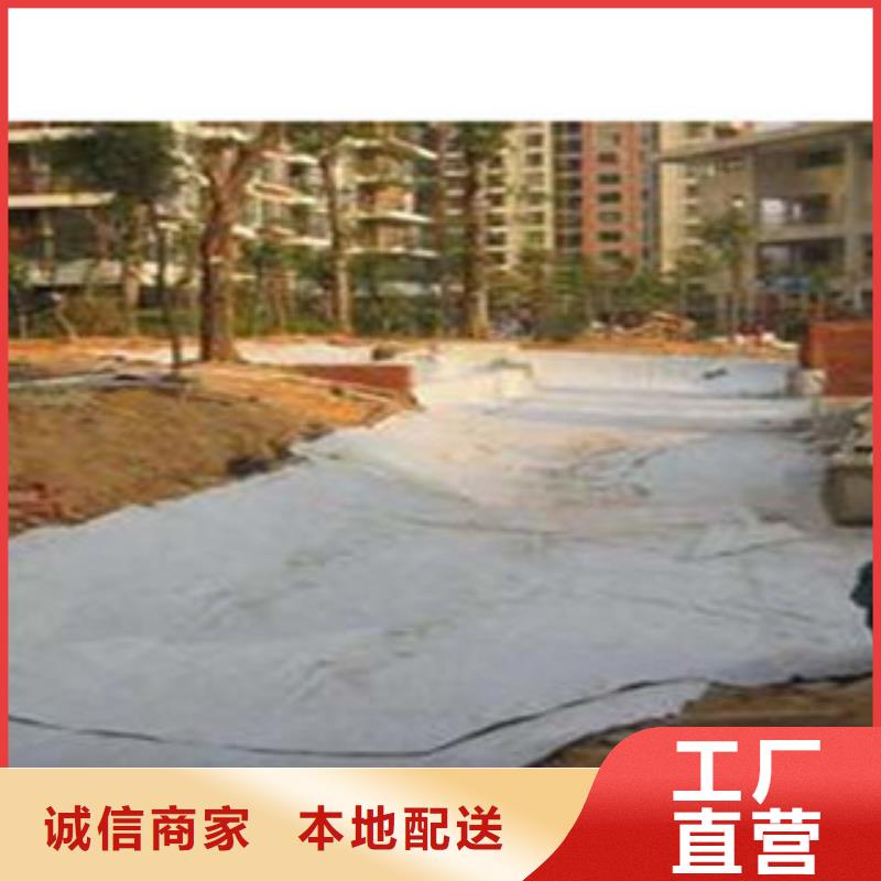【防水毯】-植草格厂家好品质售后无忧-富泰土工材料(荆门市分公司)