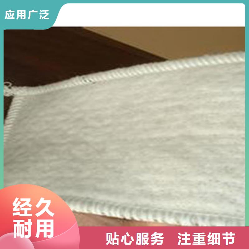 【防水毯】-植草格厂家好品质售后无忧-富泰土工材料(荆门市分公司)