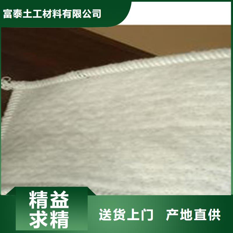 防水毯-土工布廠家優選廠家