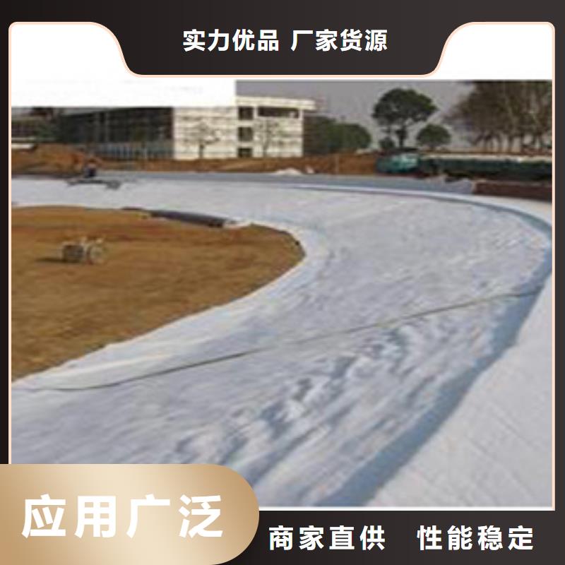 防水毯植草格廠家品質(zhì)無所畏懼