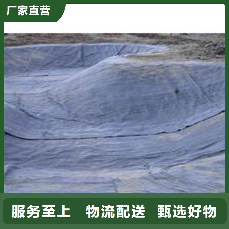 【防水毯】蓄排水板廠家定制速度快工期短