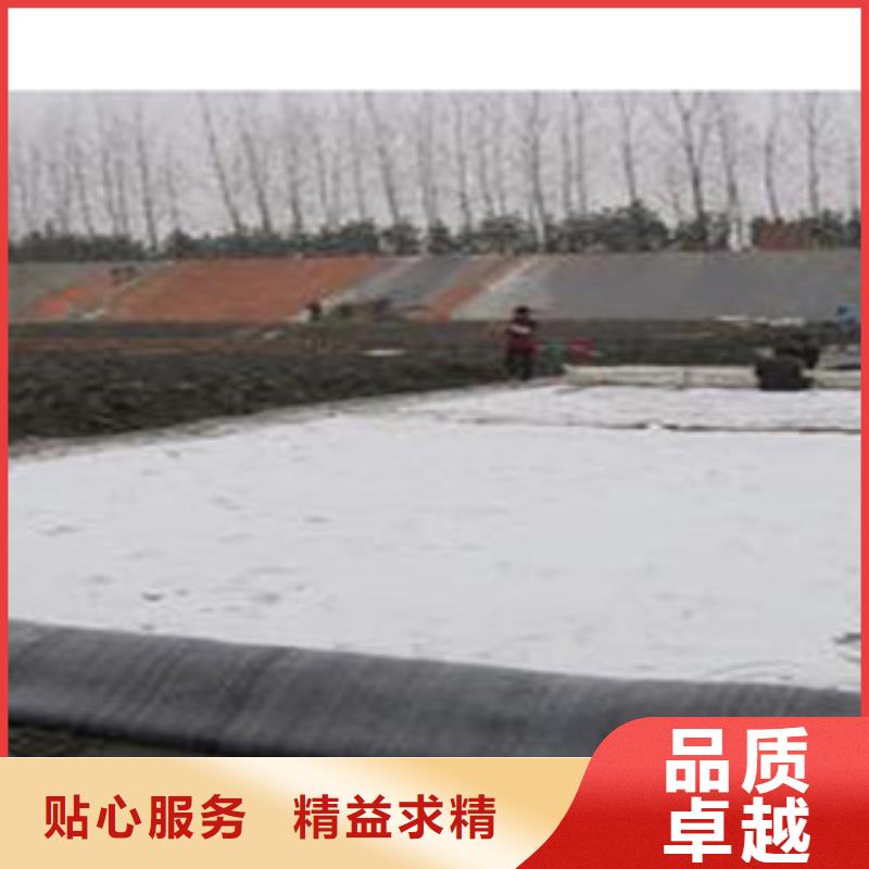 防水毯無(wú)紡布廠家源頭廠源頭貨