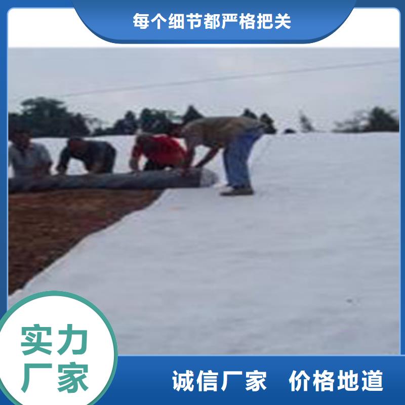 【防水毯】蓄排水板廠家定制速度快工期短