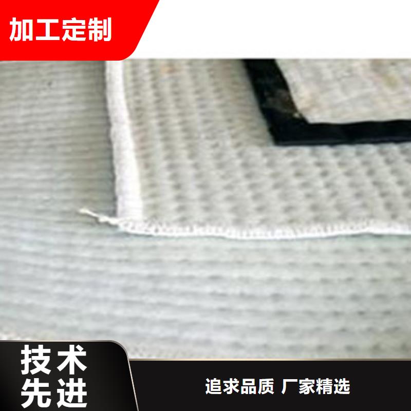 【防水毯】蓄排水板廠家定制速度快工期短