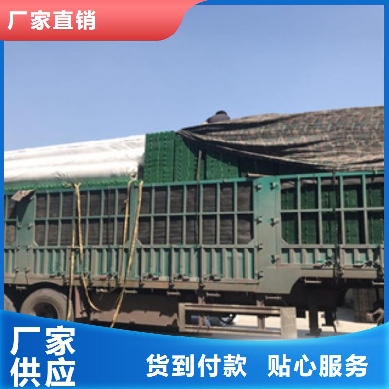 蓄排水板土工布廠家專業按需定制