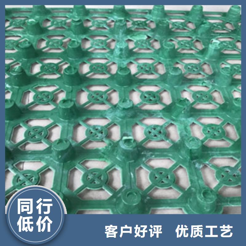 車庫頂板排水板山東富泰土工廠家價格