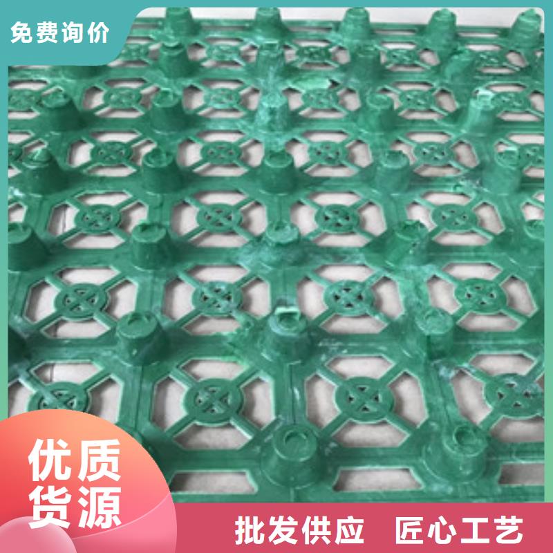 5公分蓄排水板泰安富泰土工材料有限公司廠家直銷