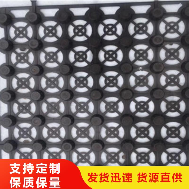 蓄排水板-土工布廠家支持非標定制