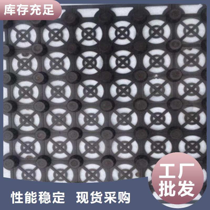 蓄排水板蓄排水板廠家多種場景適用