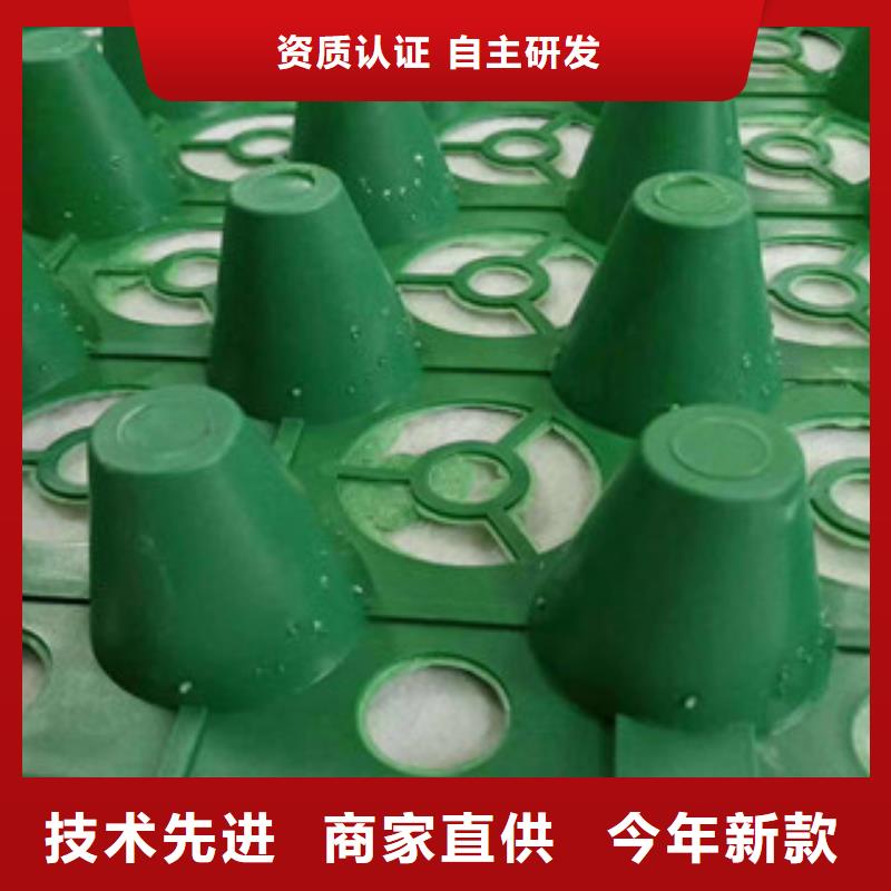 50厚蓄排水板富泰土工材料有限公司廠家直銷