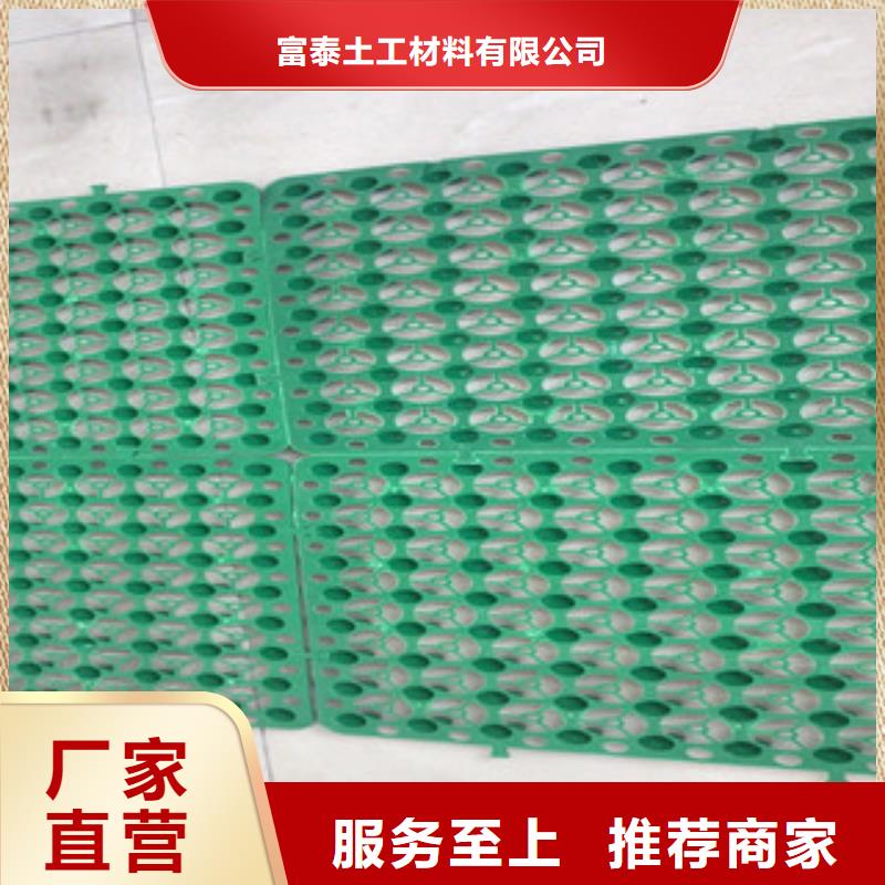 5公分蓄排水板泰安富泰土工材料有限公司廠家直銷