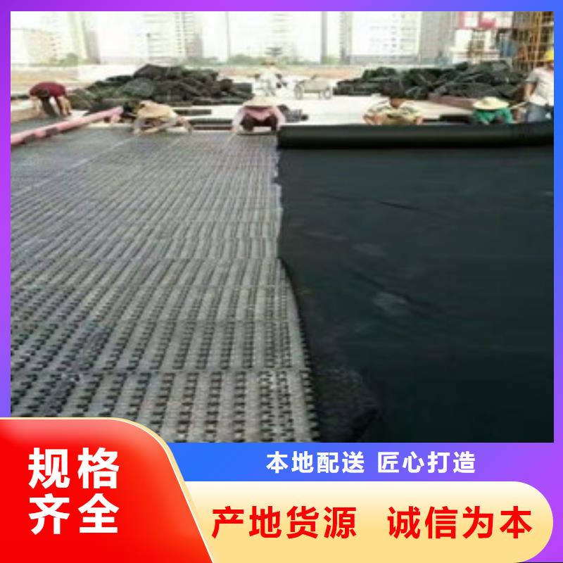蓄排水板植草格厂家快捷物流