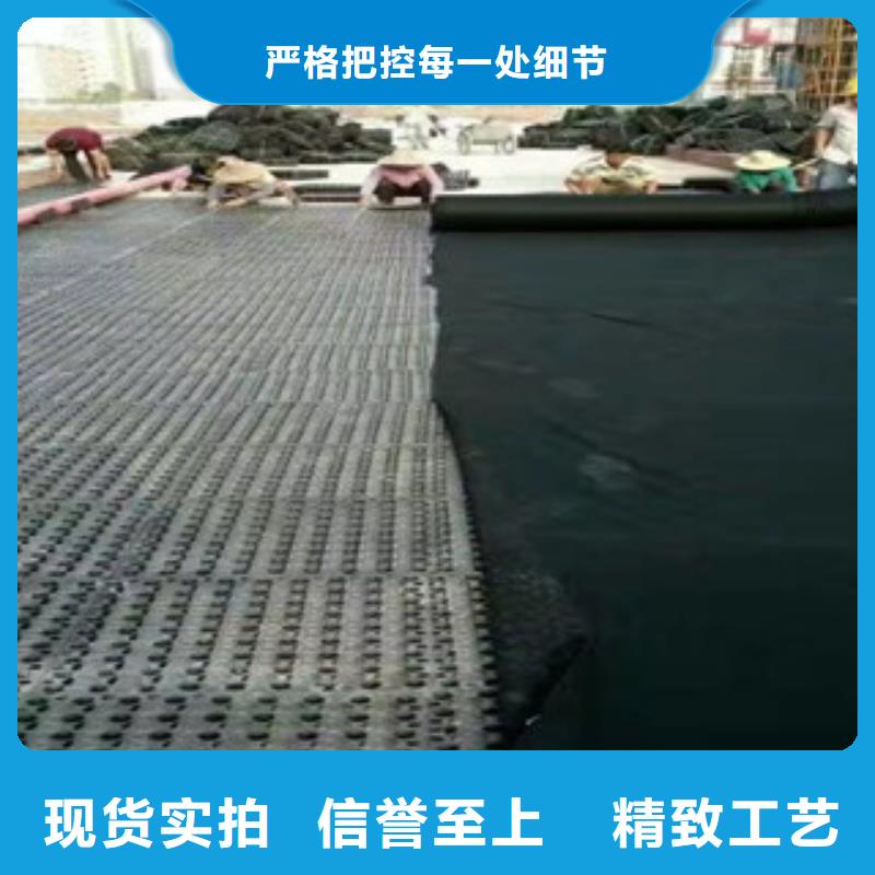 蓄排水板排水板廠家生產經驗豐富