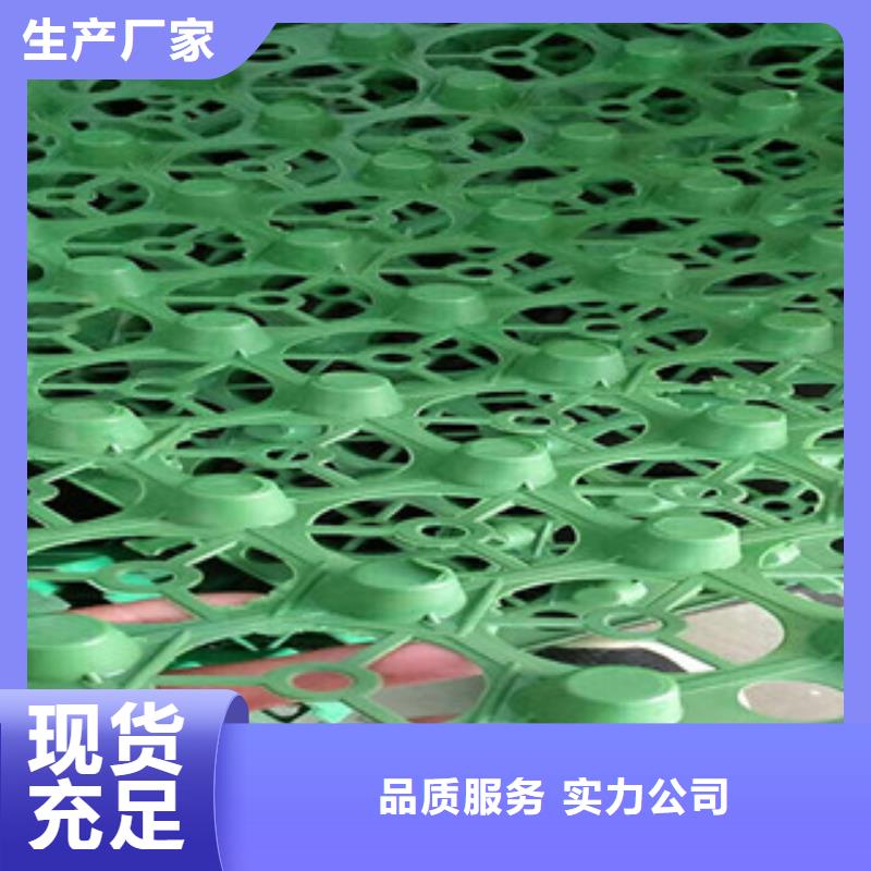 蓄排水板蓄排水板廠家多種場景適用