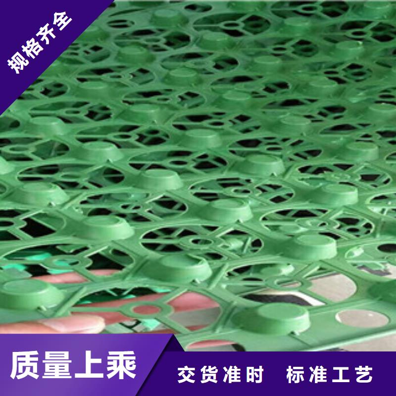 HDPE蓄排水板泰安富泰土工材料有限公司廠家價(jià)格