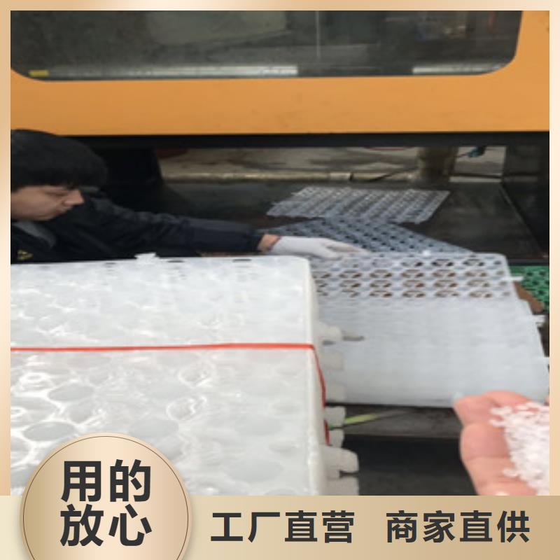 黑色塊狀蓄排水板泰安富泰土工材料有限公司廠家電話
