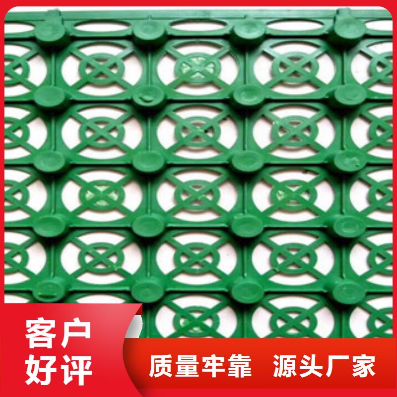 20厚蓄排水板泰安富泰土工材料有限公司廠家電話
