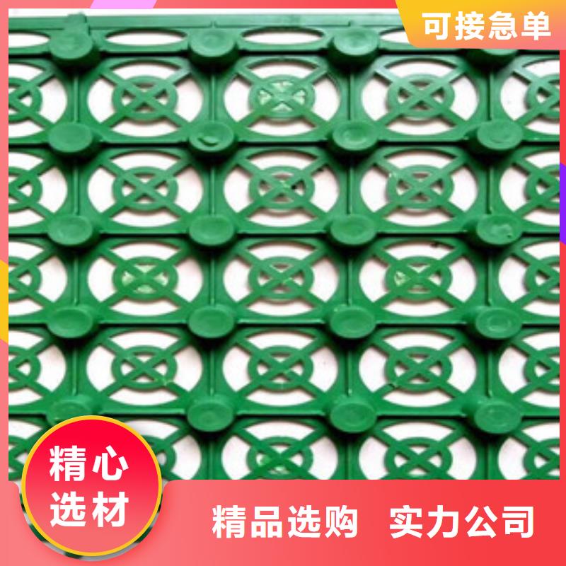 黑色塊狀蓄排水板泰安富泰土工材料有限公司廠家電話