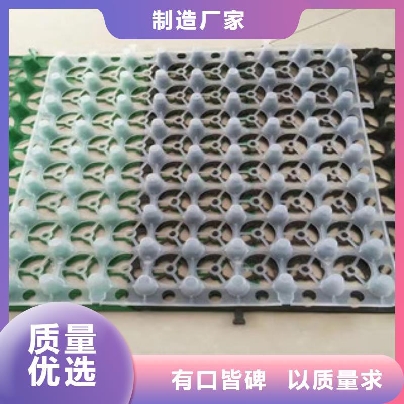 20厚蓄排水板泰安富泰土工材料有限公司廠家價格