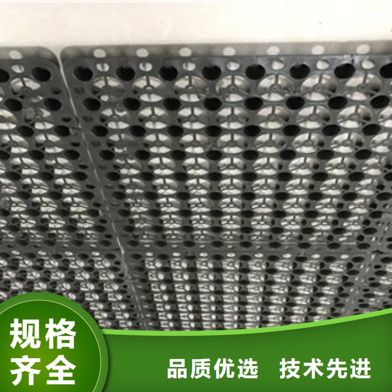 蓄水排水板泰安富泰土工材料有限公司廠家直銷