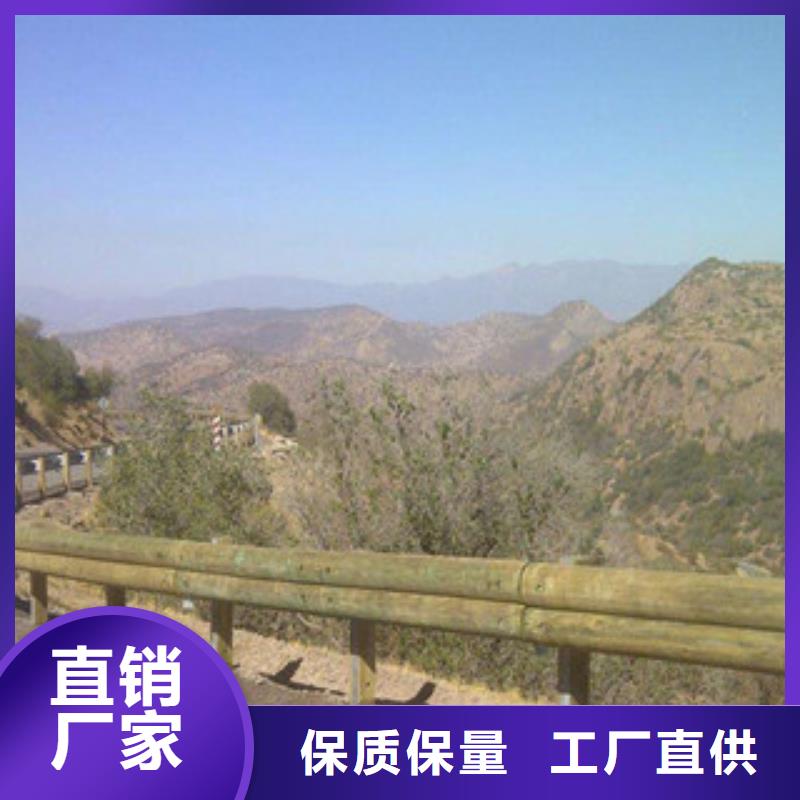 公園木質護欄鋼背木護欄價格咨詢