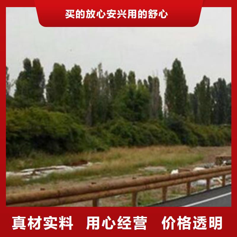 钢背木护栏道路交通护栏N年专注
