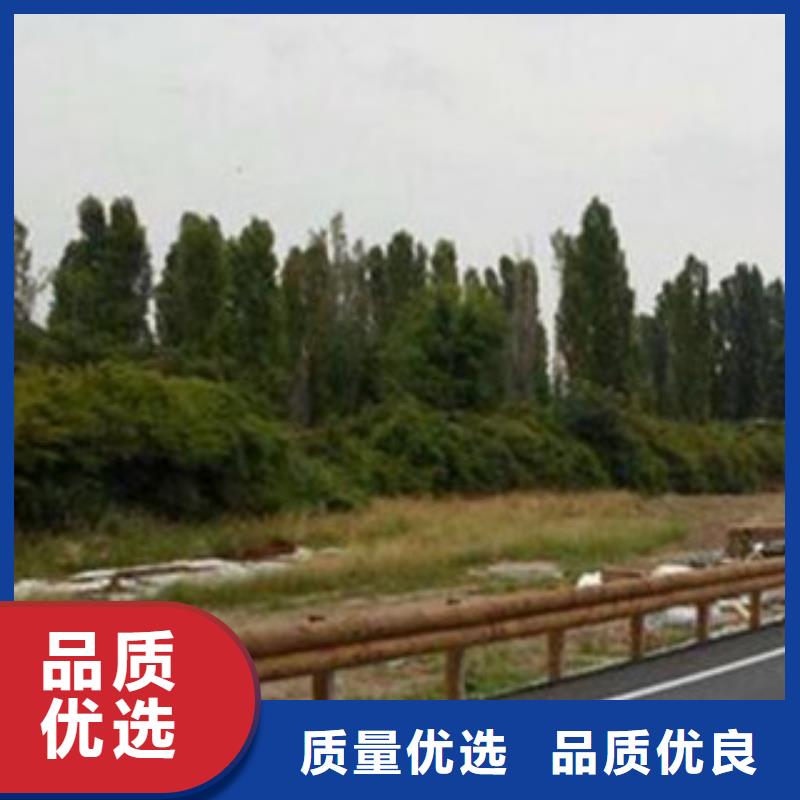 鋼背木護欄-橋梁燈光護欄高性價比