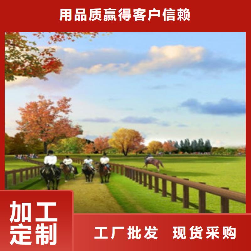 鋼背木護欄防撞護欄保障