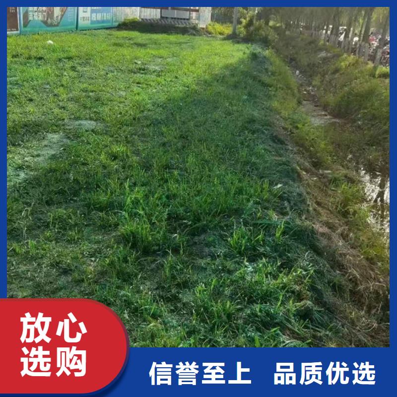 環保抑塵劑色素量大從優