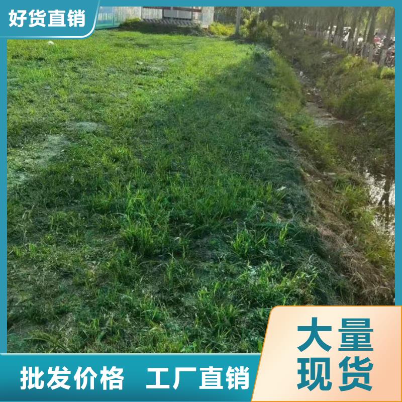 抑尘剂色浆讲信誉保质量