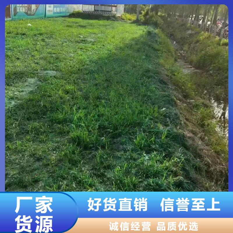 抑塵劑色素誠信為本