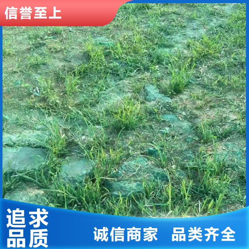 綠色結殼抑塵劑現貨直供