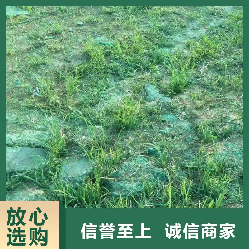 環保抑塵劑廠家直銷