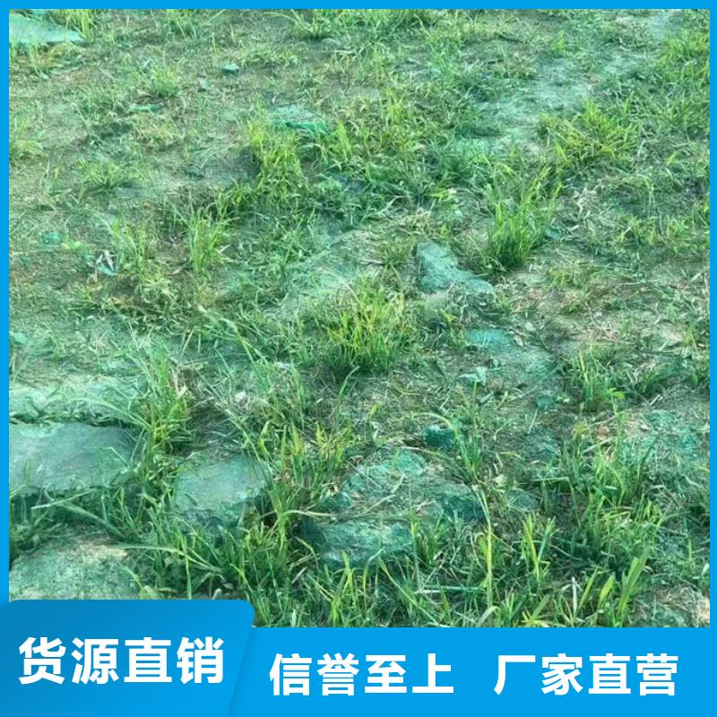 綠色結殼抑塵劑誠信為本
