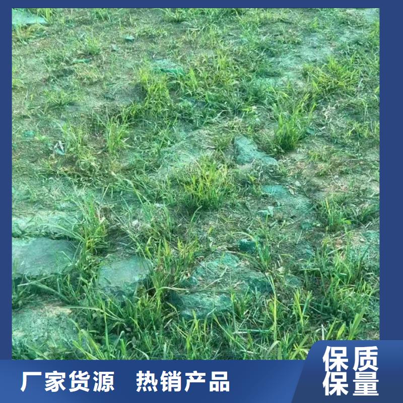 抑塵劑色素誠信為本