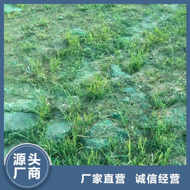煤炭矿山抑尘剂厂家直营