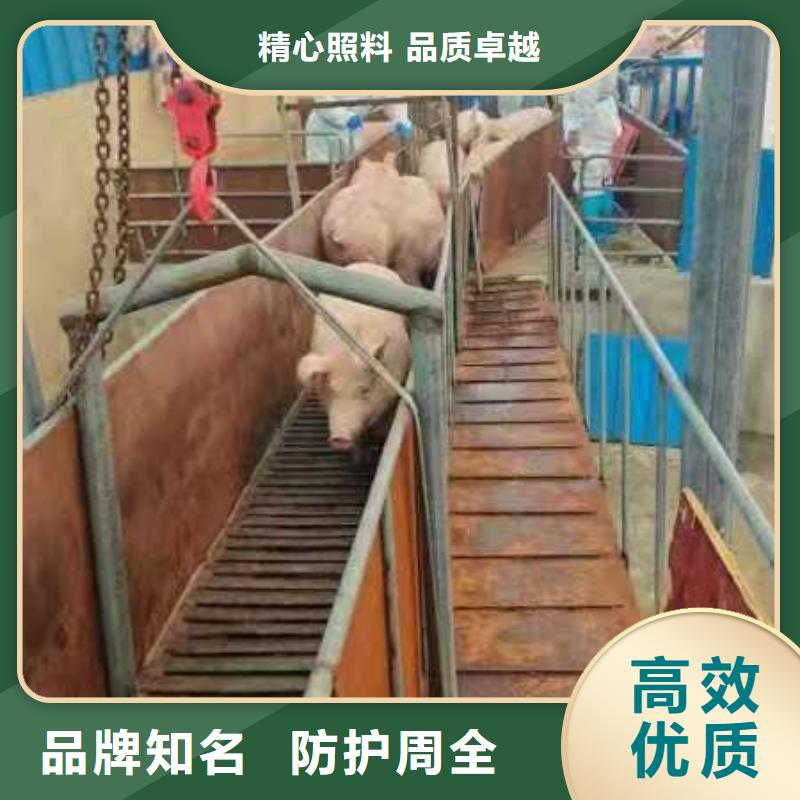 宿遷到活禽物流環境適宜