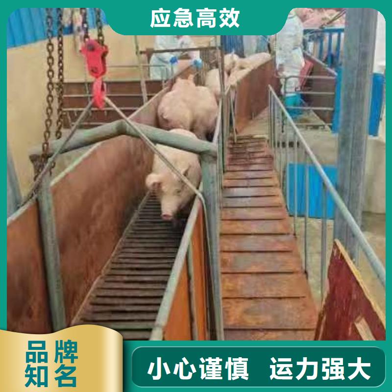 宿遷到活禽運輸