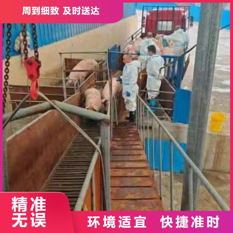 宿遷到空調車運輸資質齊全
