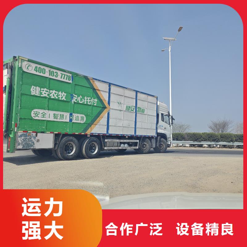 宿遷到活禽物流環境適宜