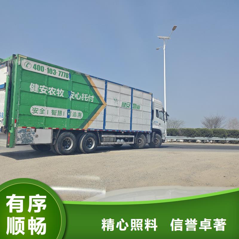 宿遷到豬籠車運(yùn)輸服務(wù)周到