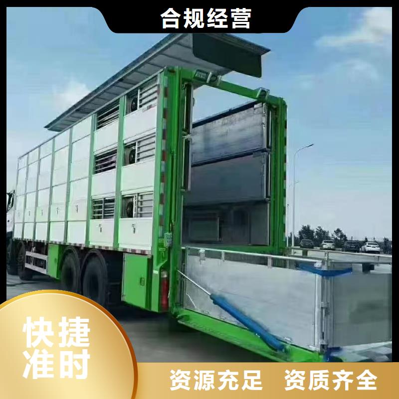 宿遷到仔豬恒溫車運輸部分地區當天達