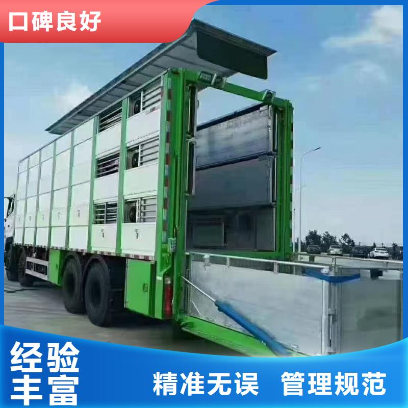 宿遷市沭陽到牲畜運輸平穩