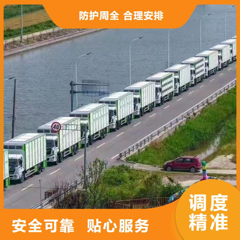 宿遷市到生豬恒溫車運輸省內隔天送達