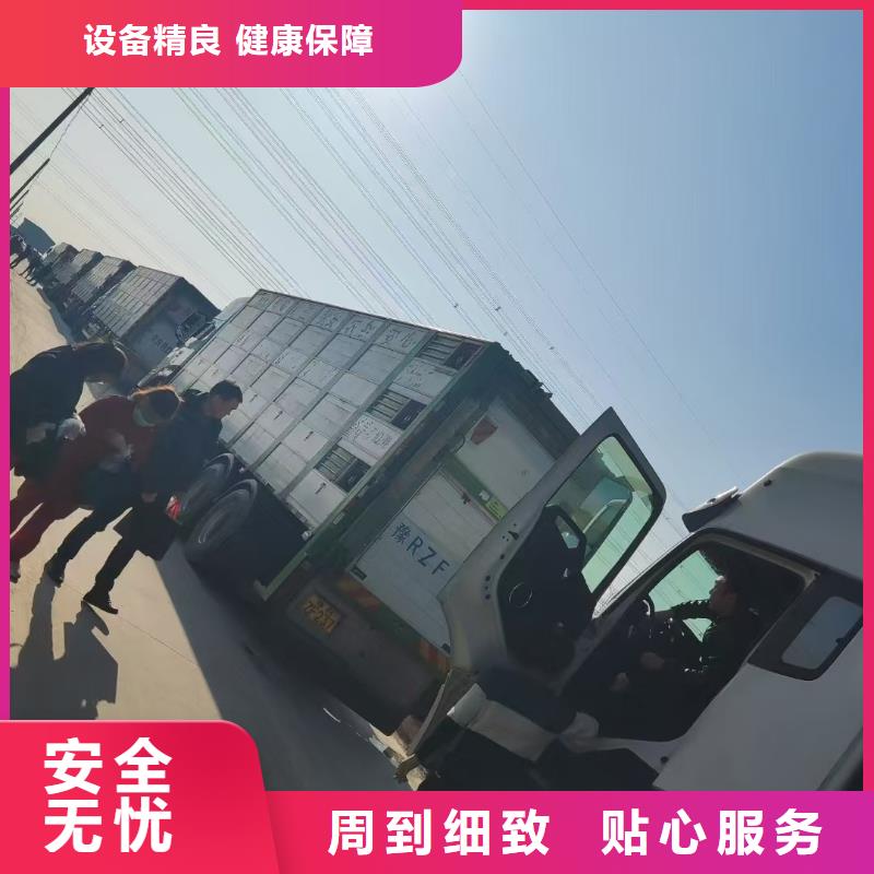 宿遷到仔豬恒溫車運輸快捷