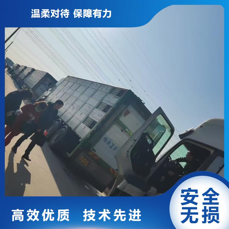 宿遷市泗陽到種豬運輸保障完備
