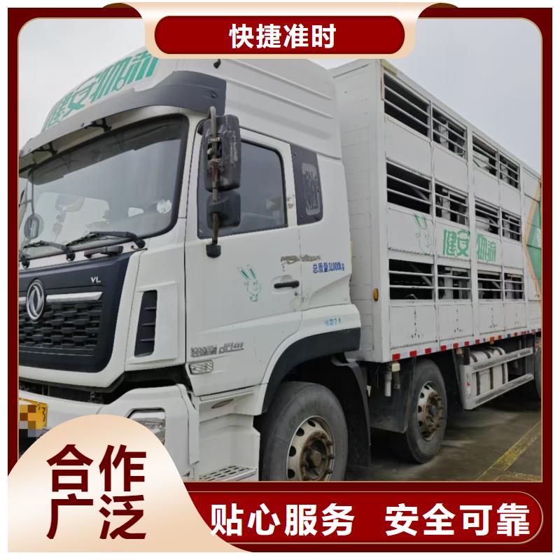 宿遷到羊運輸專用車服務有保障