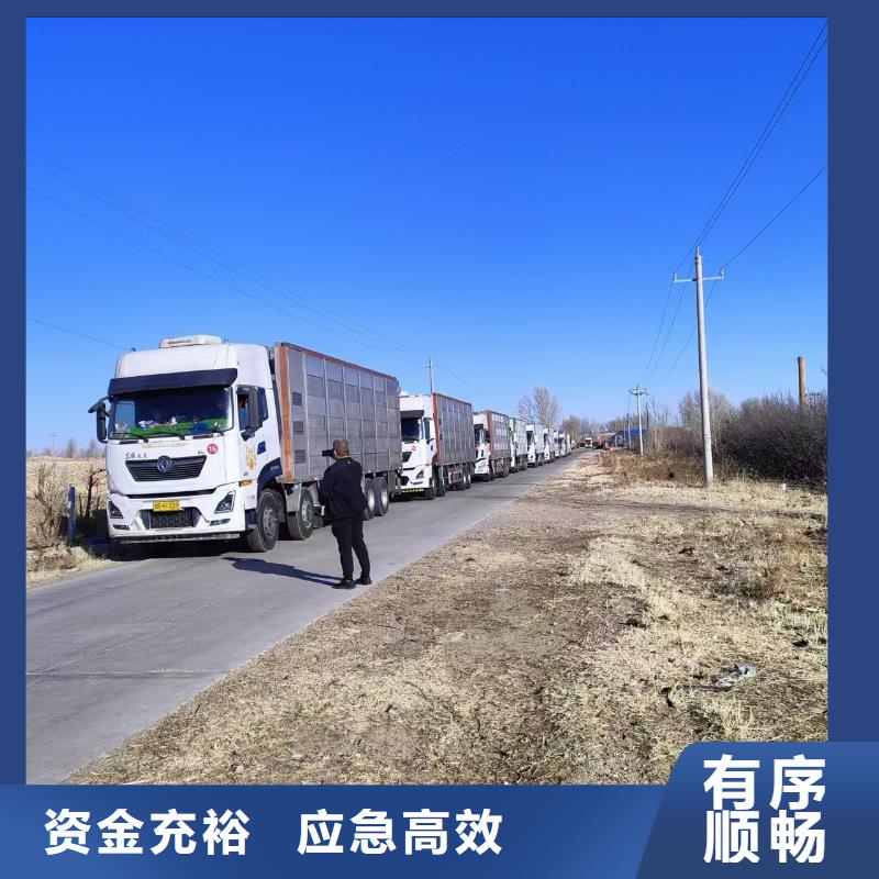 宿遷市到畜禽運輸網絡廣泛