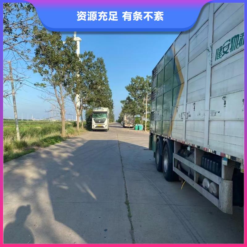 宿遷到仔豬恒溫車運輸快捷